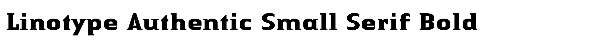 Linotype Authentic Small Serif Bold image